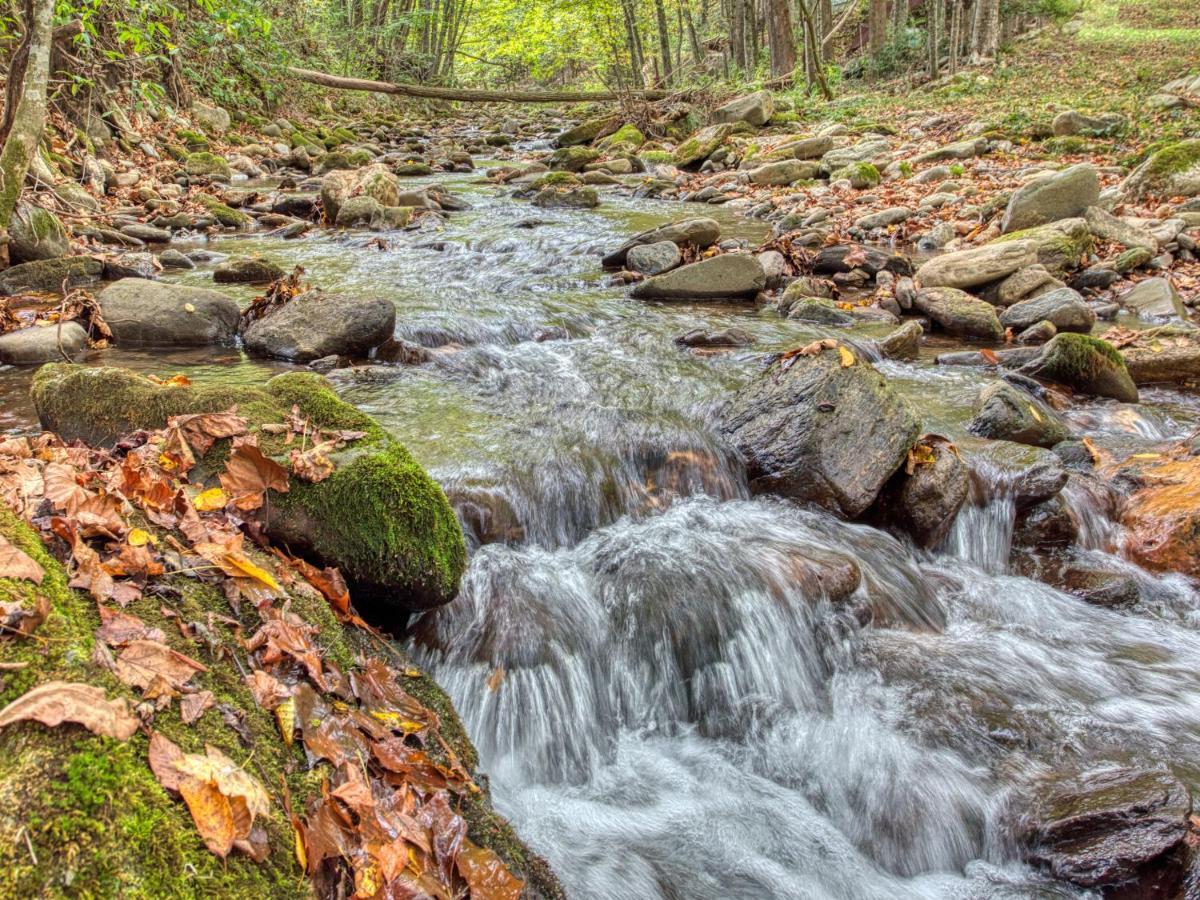Maggie Valley Cabin Rentals المظهر الخارجي الصورة