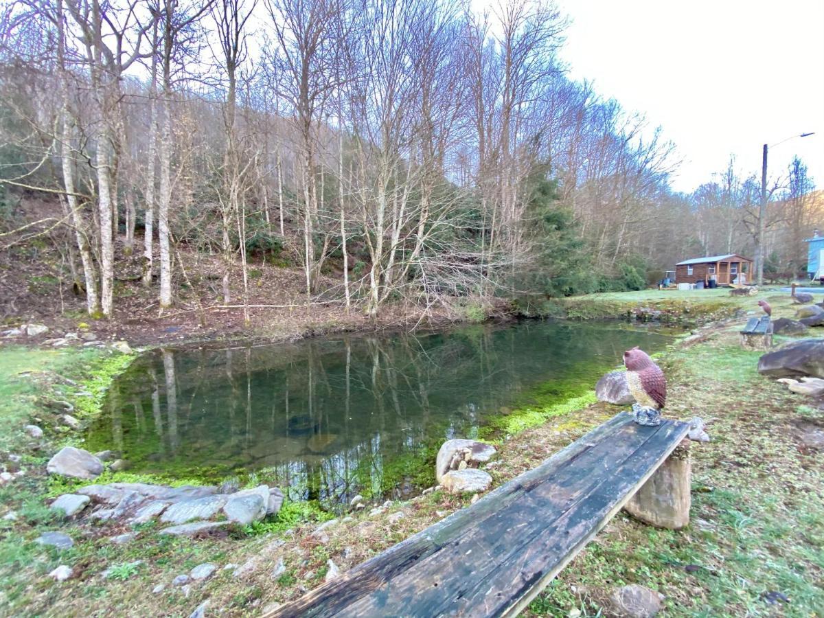 Maggie Valley Cabin Rentals المظهر الخارجي الصورة
